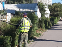 В Железнодорожном районе продолжается стрижка кустарника и покос травы