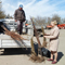 В Коминтерновском районе в рамках месячника по благоустройству проходит выдача саженцев для посадки 
