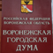 Состоялось очередное заседание Совета Воронежской городской Думы четвертого созыва