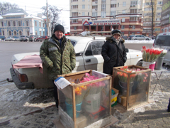 В Воронеже проходят рейды по выявлению мест несанкционированной торговли цветочной продукцией В Воронеже проходят рейды по выявлению мест несанкционированной торговли цветочной продукцией