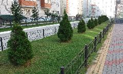 В Коминтерновском районе подвели итоги конкурса на лучшее благоустройство и содержание территорий