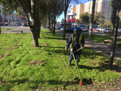 В районах города продолжаются работы по благоустройству