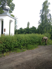 В Железнодорожном районе приводят в порядок воинские захоронения