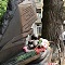 В Воронеже почтили память погибших в годы Великой Отечественной войны детей В Воронеже почтили память погибших в годы Великой Отечественной войны детей