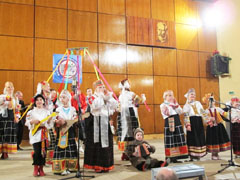 Отчетный концерт муниципального бюджетного образовательного учреждения дополнительного образования детей Детская школа искусств № 13 городского округа город Воронеж