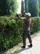 В Воронеже продолжаются работы по благоустройству