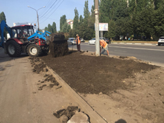 В Коминтерновском районе проходит масштабное устройство газонов