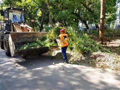 В Центральном районе идет активная подготовка прилегающей территории к фестивалю «Город-Сад»