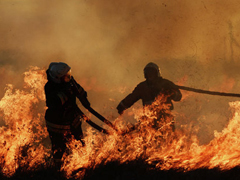 В Воронеже начался сезон ландшафтных пожаров