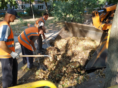 В районах Воронежа продолжаются работы по благоустройству территорий 