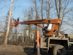 В Железнодорожном районе продолжаются работы по опиловке сухостойных деревьев