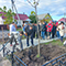 В Воронеже продолжаются работы по высадке деревьев