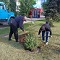 Глава Воронежа Вадим Кстенин рассказал о выполнении весеннего и планах на осеннее озеленение города Глава Воронежа Вадим Кстенин рассказал о выполнении весеннего и планах на осеннее озеленение города