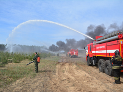 О пожарах - в цифрах