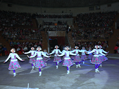 В Ленинском районе состоялось открытие новогодней ёлки