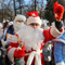 В Воронеже состоялся парад Дедов Морозов