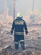 В регионе борются с тремя крупными пожарами