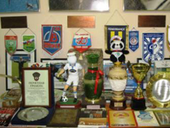 Воронежский спорт день за днем