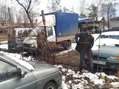 В Воронеже продолжаются работы по благоустройству