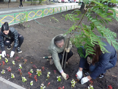 В ряде дворов подходят к завершению мероприятия по благоустройству