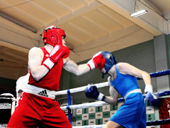 В Воронеже стартовал боксерский турнир памяти погибших бойцов подразделений специального назначения и воздушно-десантных войск В Воронеже стартовал боксерский турнир памяти погибших бойцов подразделений специального назначения и воздушно-десантных войск