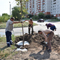 В Воронеже продолжаются работы по благоустройству