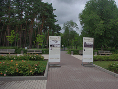 В Воронеже впервые появились особо охраняемые природные территории местного значения