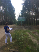 В Железнодорожном районе прошли проверки баз летнего отдыха