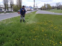 Комбинатам благоустройства районов Воронежа требуются работники