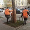 В Ленинском районе приступили к защите стволов деревьев В Ленинском районе приступили к защите стволов деревьев