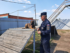 Интервью со спасателем-кинологом