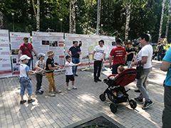 Состоялся традиционный благотворительный фестиваль «Добрый край Воронежский»