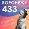 Поздравление с Днем города