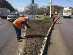 В районах города проходят санитарные дни