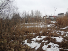 В Железнодорожном районе провели мониторинг опасных мест прорастания камыша