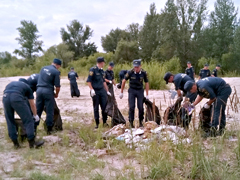 Ленинский район присоединился к Всероссийской экологической акции