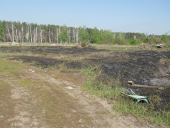 Методические рекомендации по проведению выжигания сухой травянистой растительности